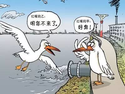 凈水器值得裝嗎?央視是這么說(shuō)的!