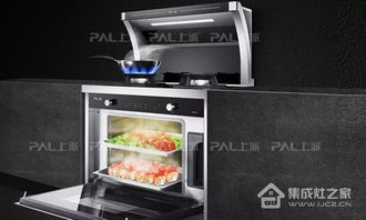 上派集成灶正憑創(chuàng)新產(chǎn)品征服全國(guó)用戶,新的一年繼續(xù)前進(jìn)