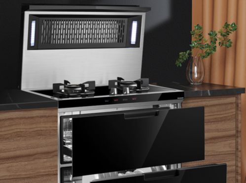 集成灶行業(yè)處于穩(wěn)定增長趨勢 未來將進(jìn)一步走進(jìn)用戶家庭