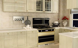 越來越多家庭不裝油煙機了,如今流行這種多功能灶,省錢又環(huán)保