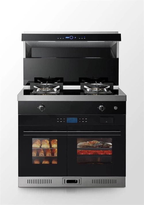 別再糾結(jié)了 2023年集成灶十大品牌年終盤點(diǎn),看看哪款最適合您