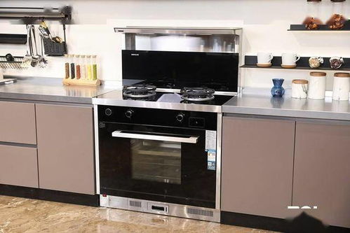 廚電智能新形態(tài) 森歌d3zk天貓精靈款集成灶評(píng)測